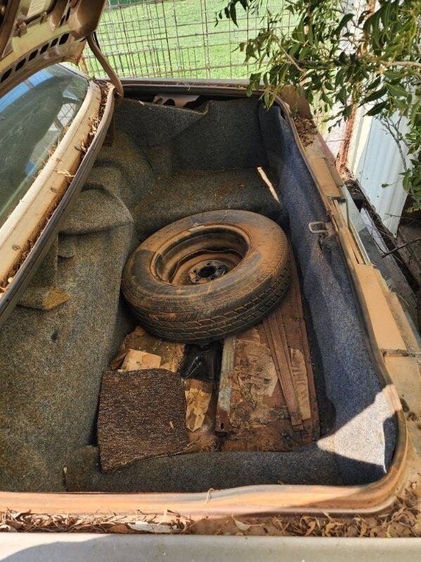 1981 Mercury Grand Marquis - photo 10