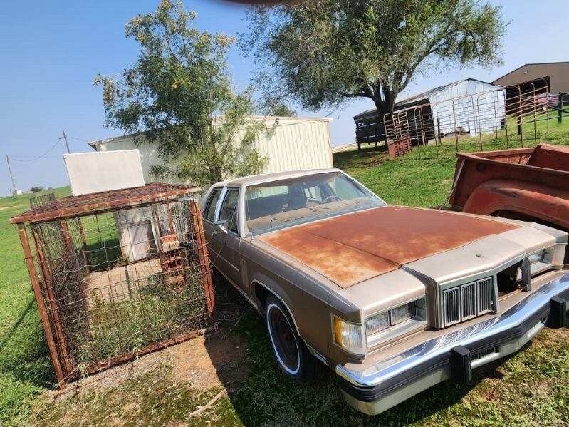 1981 Mercury Grand Marquis - photo 11