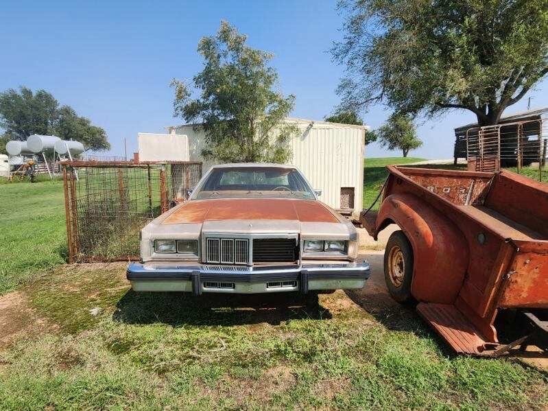 1981 Mercury Grand Marquis - photo 2