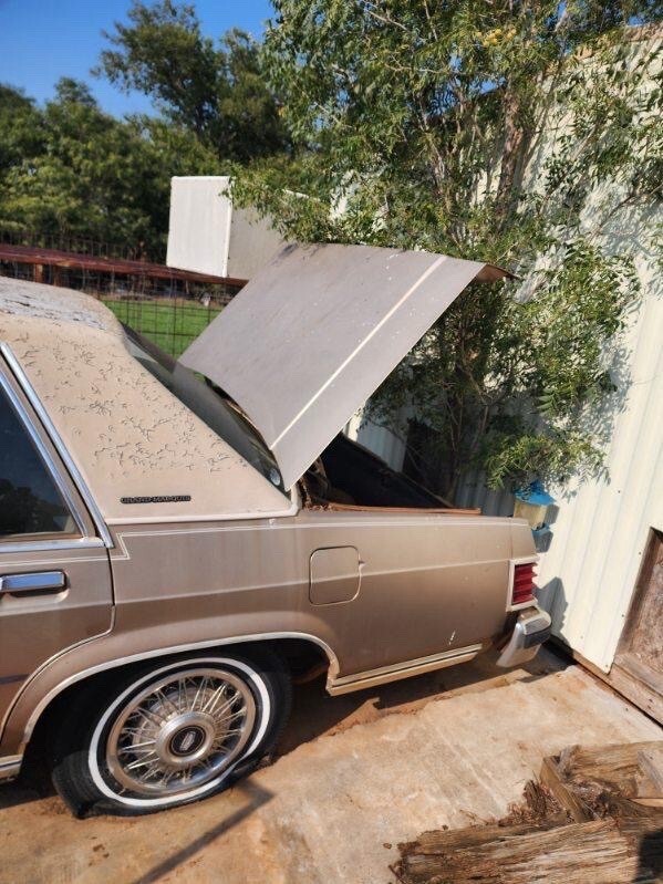 1981 Mercury Grand Marquis - photo 4