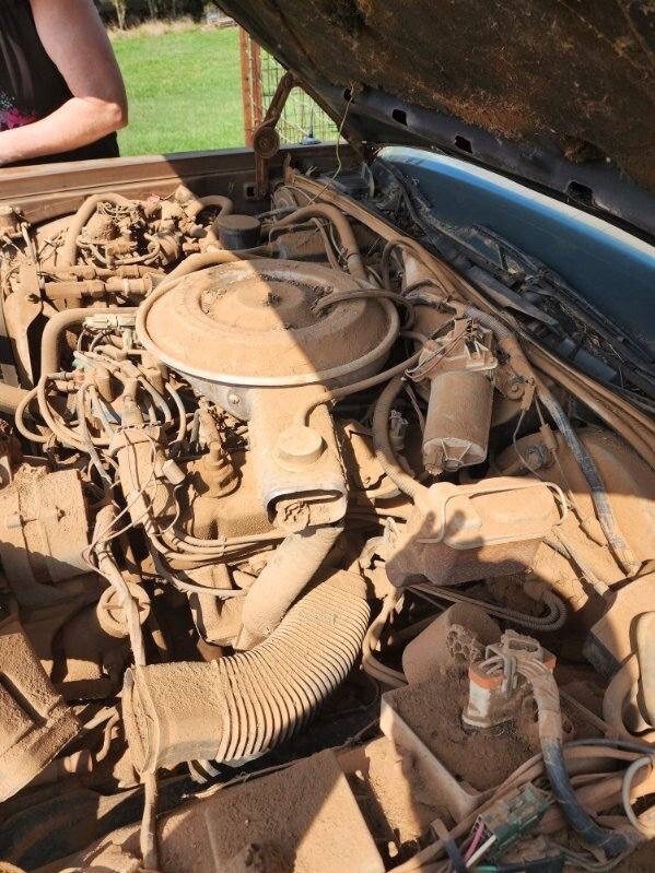 1981 Mercury Grand Marquis - photo 8