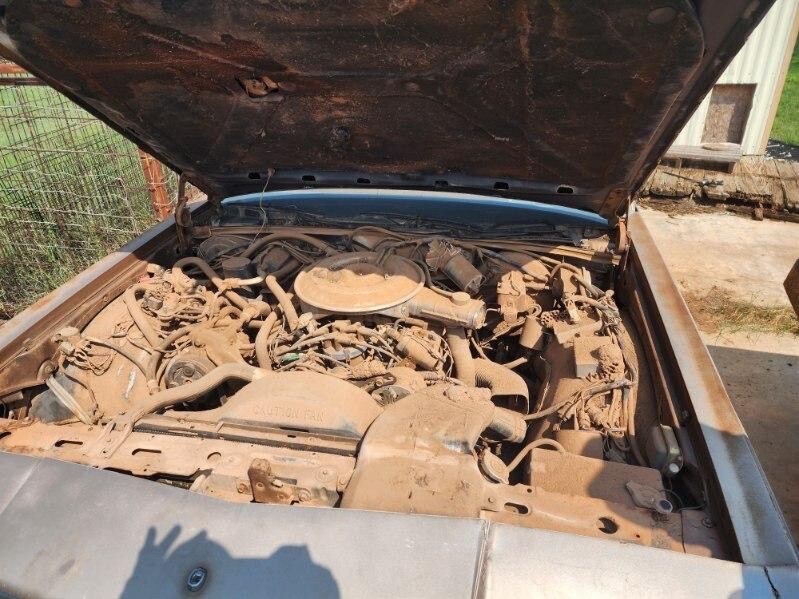 1981 Mercury Grand Marquis - photo 9