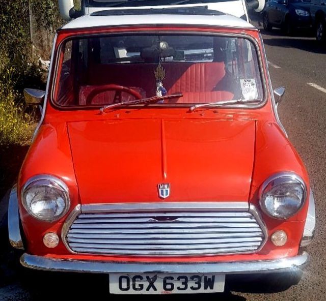 1981 Mini Classic Mini - photo 3