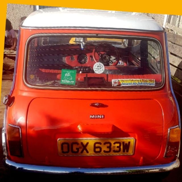 1981 Mini Classic Mini - photo 5