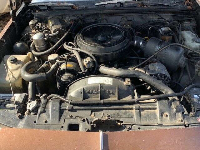 1981 Oldsmobile Cutlass - photo 12