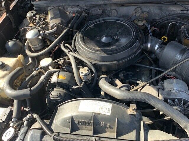 1981 Oldsmobile Cutlass - photo 6