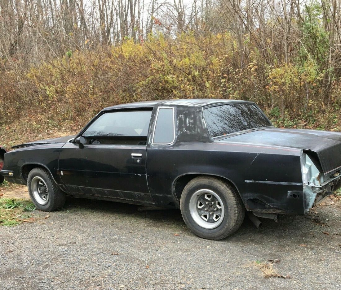 1981 Oldsmobile Cutlass - photo 2
