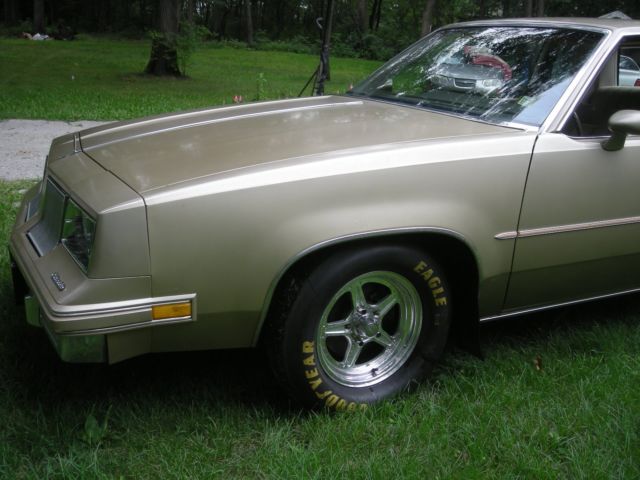 1981 Oldsmobile Cutlass - photo 9