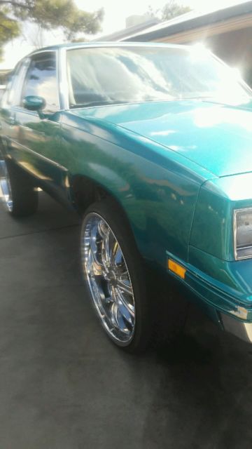 1981 Oldsmobile Cutlass - photo 10