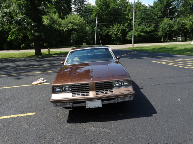 1981 Oldsmobile Cutlass - photo 4
