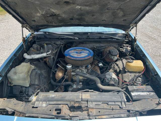 1981 Oldsmobile Cutlass - photo 7