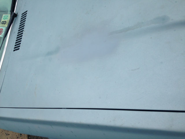 1981 Plymouth Horizon Miser TC3 - photo 12