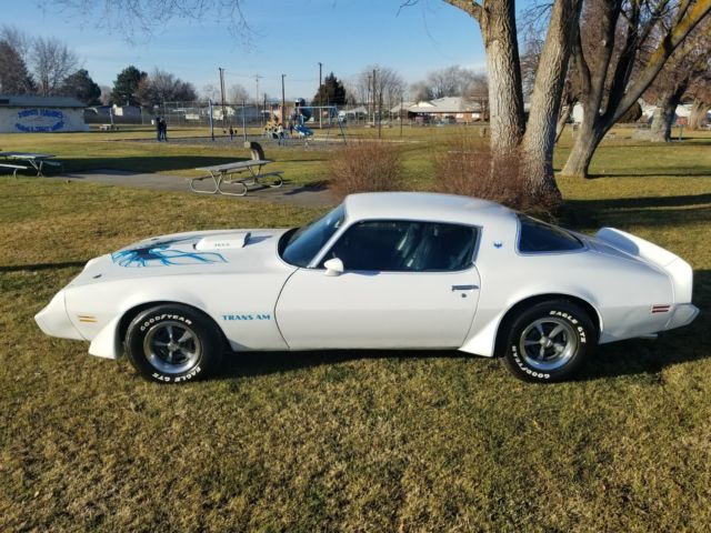 1981 Pontiac Firebird firebird - photo 2
