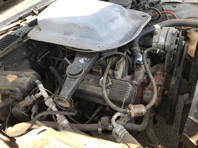 1981 Pontiac Trans Am - photo 8