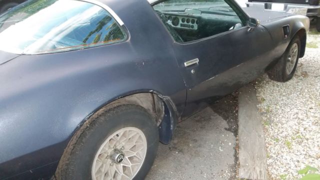 1981 Pontiac Firebird Trans AM - photo 11