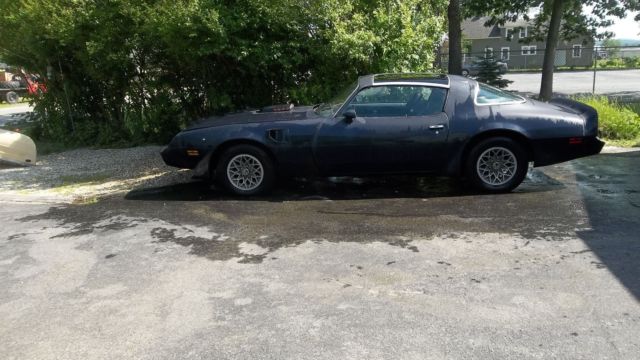 1981 Pontiac Firebird Trans AM - photo 2