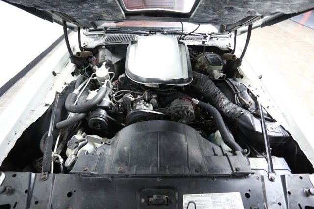 1981 Pontiac Trans Am 2DR COUPE - photo 5