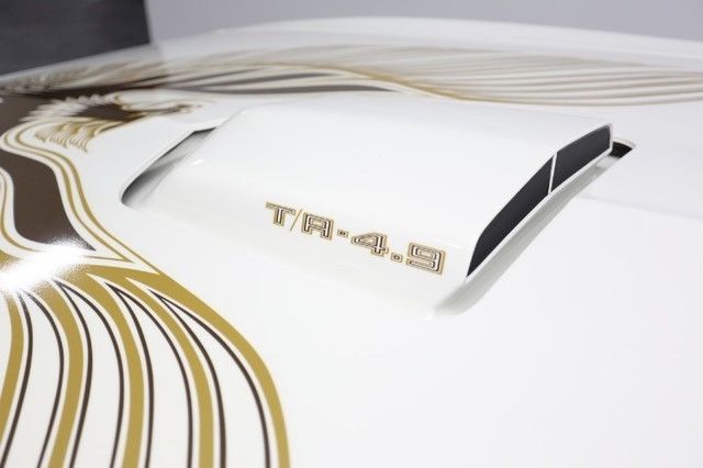 1981 Pontiac Trans Am 2DR COUPE - photo 6