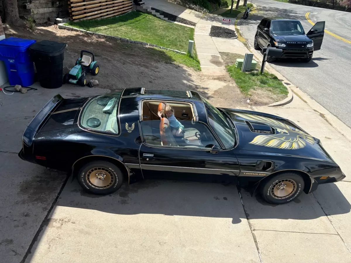 1981 PONTIAC 4spd Firebird Trans Am Special Edition T-tops 1/932 WS6 Y84 1981 Pontiac Trans Am