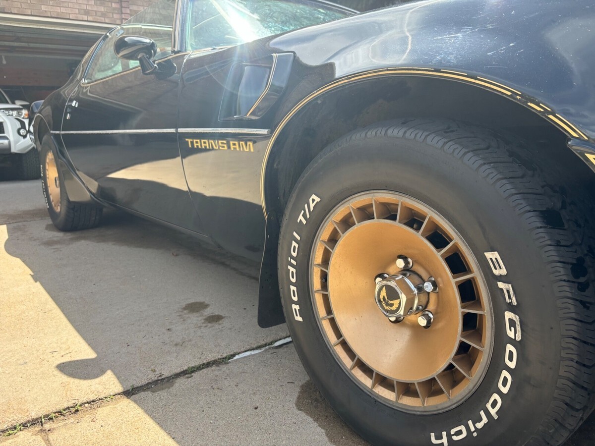 1981 Pontiac Trans Am - photo 10
