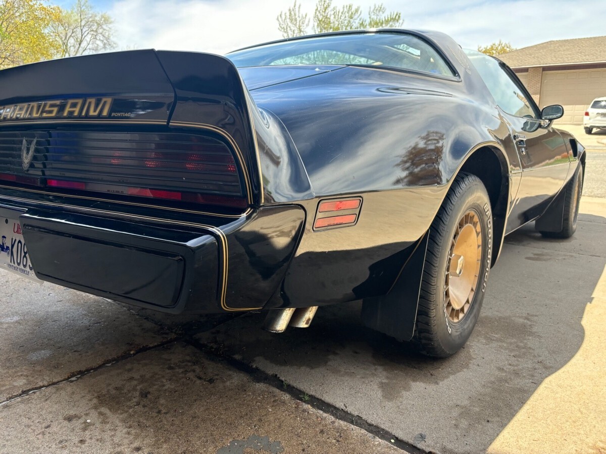 1981 Pontiac Trans Am - photo 13