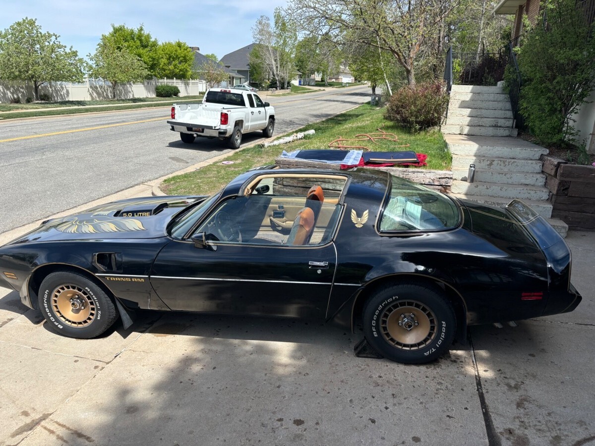 1981 Pontiac Trans Am - photo 2