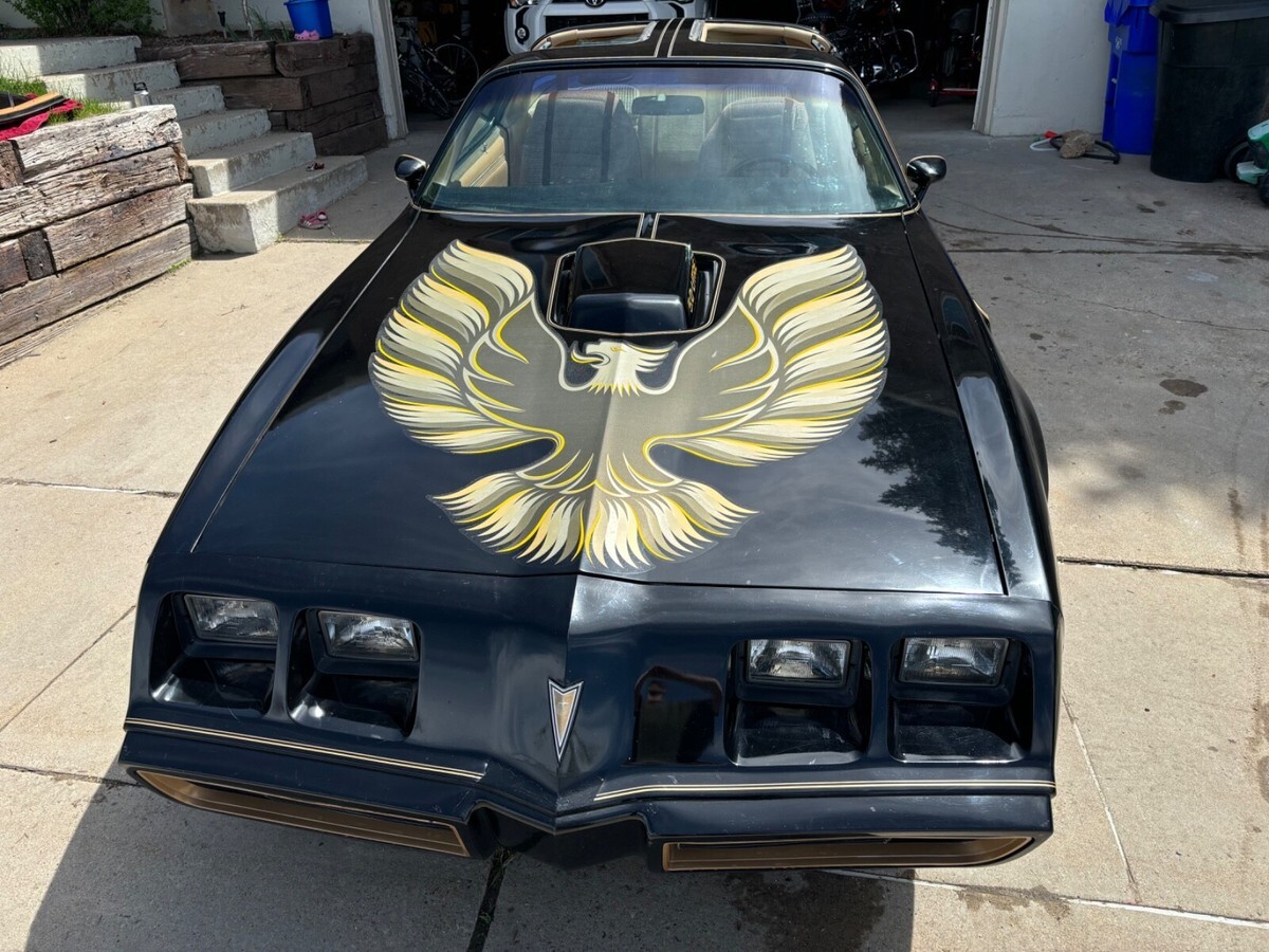 1981 Pontiac Trans Am - photo 3