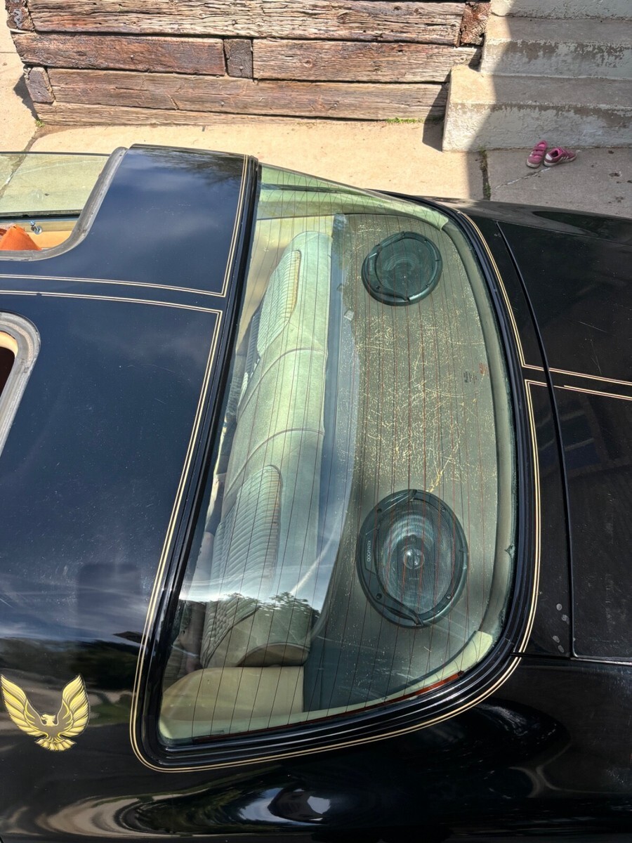 1981 Pontiac Trans Am - photo 9