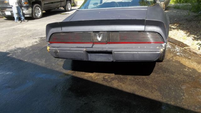 1981 Pontiac Firebird Trans AM - photo 7