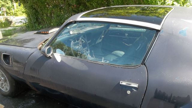 1981 Pontiac Firebird Trans AM - photo 8