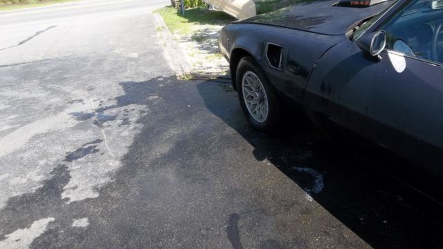 1981 Pontiac Firebird Trans AM - photo 9