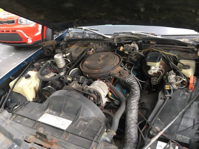 1981 Pontiac Bonneville Brougham - photo 11