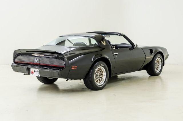 1981 Pontiac Firebird -- - photo 8