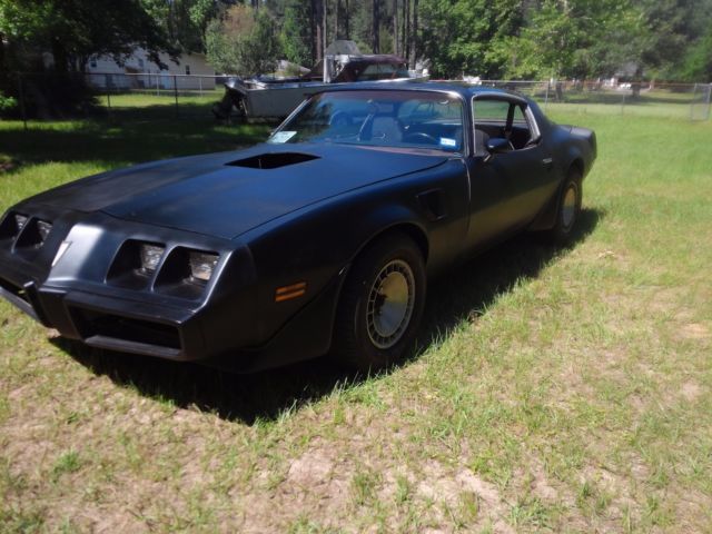 1981 Pontiac Firebird T/A - photo 10