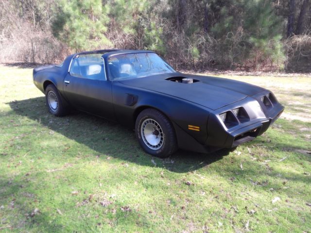 1981 Pontiac Firebird T/A - photo 2
