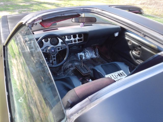 1981 Pontiac Firebird T/A - photo 4