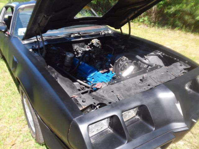 1981 Pontiac Firebird T/A - photo 5