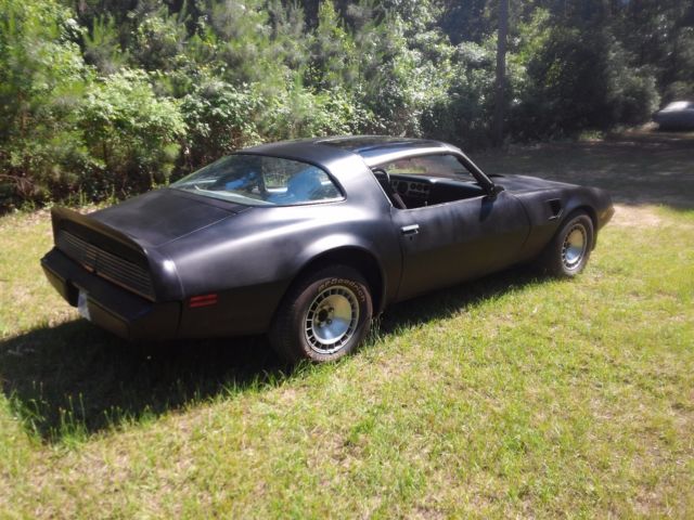 1981 Pontiac Firebird T/A - photo 6