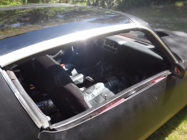 1981 Pontiac Firebird T/A - photo 7