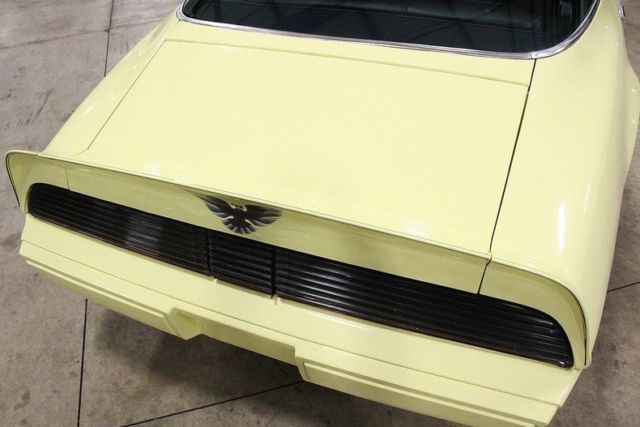 1981 Pontiac Firebird -- - photo 11