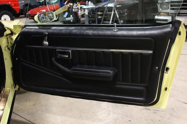 1981 Pontiac Firebird -- - photo 12