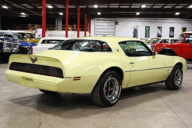 1981 Pontiac Firebird -- - photo 5