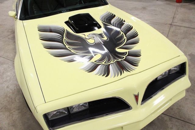 1981 Pontiac Firebird -- - photo 9