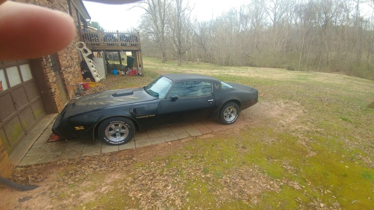 1981 Pontiac Firebird Coupe Black RWD Automatic TRANS AM 1981 Pontiac Firebird TRANS AM