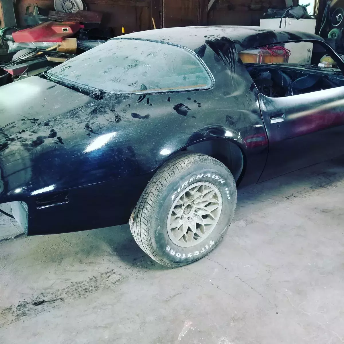 1981 Pontiac Firebird TRANS AM