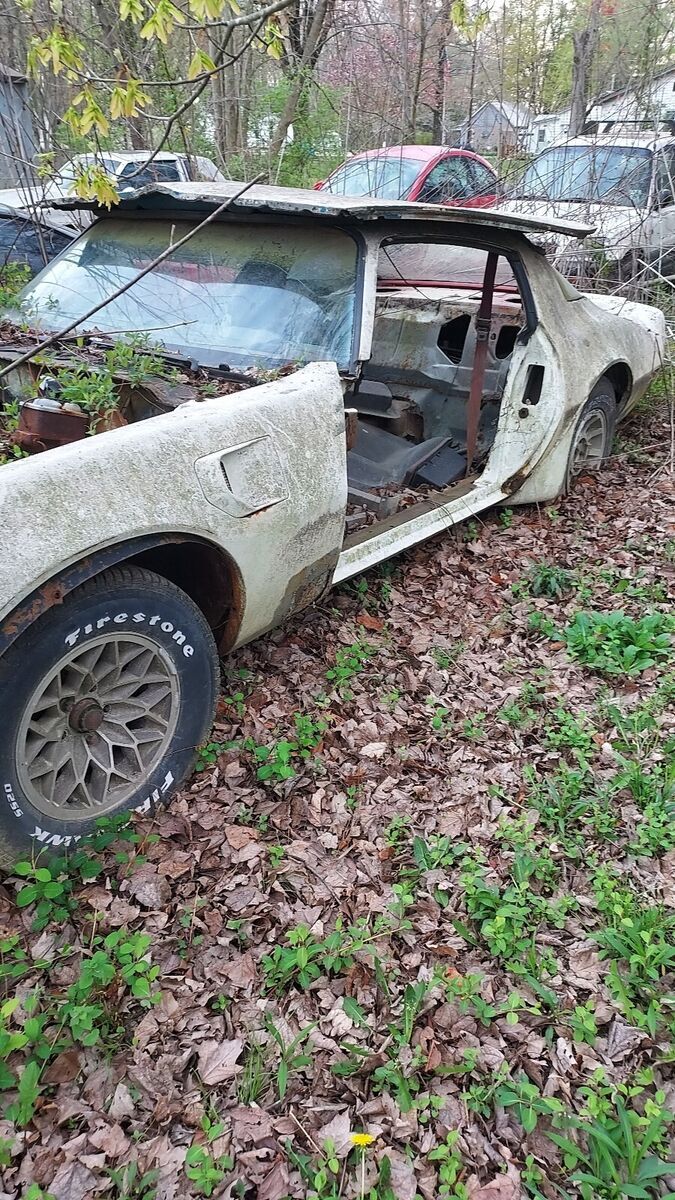 1981 Pontiac Firebird TRANS AM - photo 10