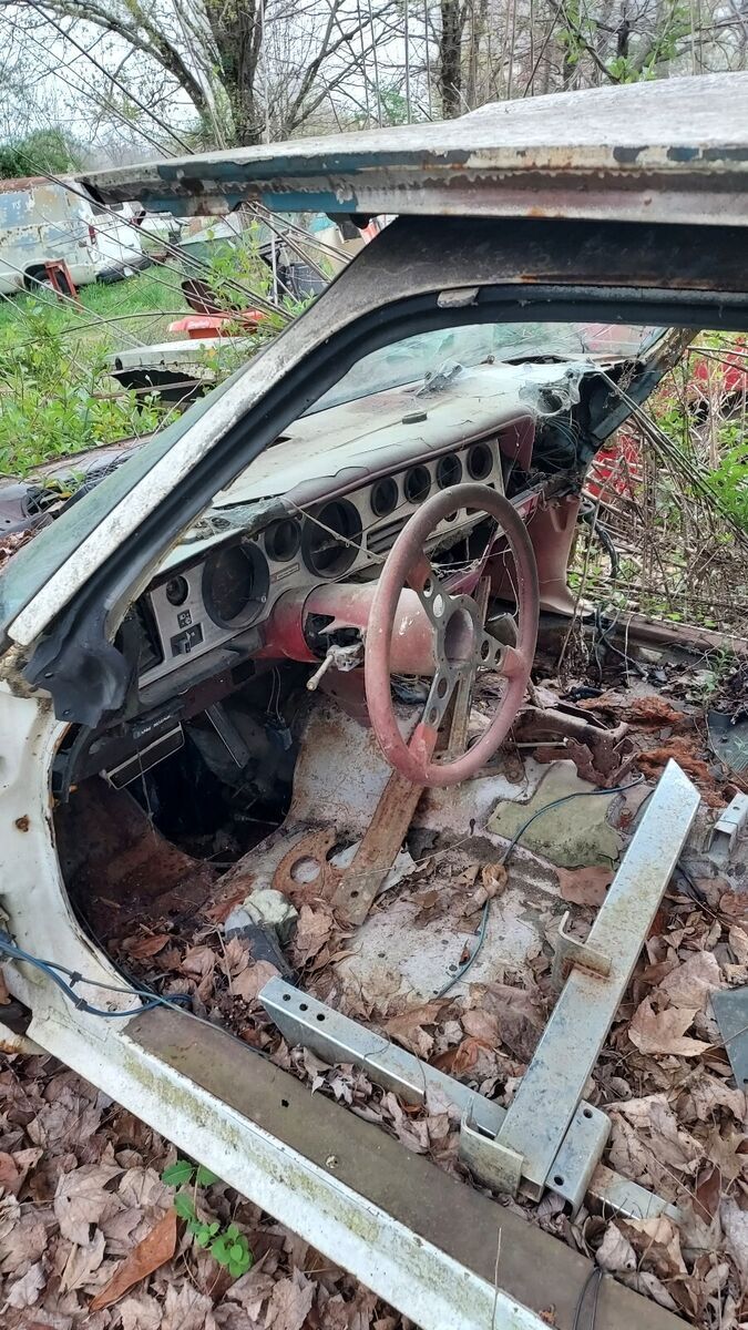 1981 Pontiac Firebird TRANS AM - photo 13