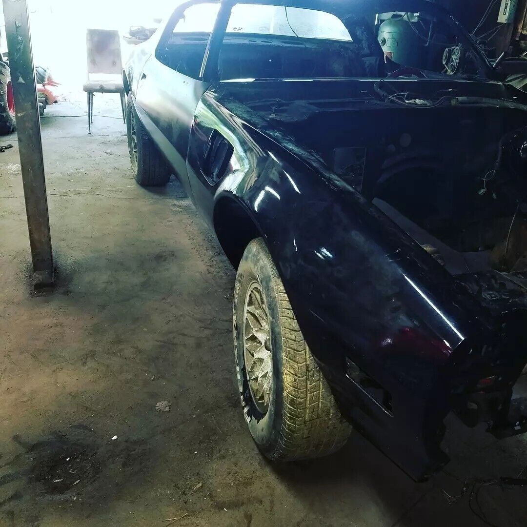 1981 Pontiac Firebird TRANS AM - photo 3