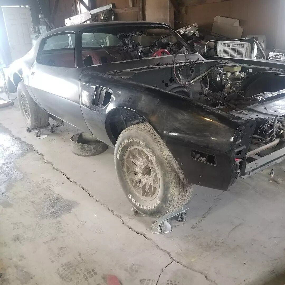 1981 Pontiac Firebird TRANS AM - photo 4