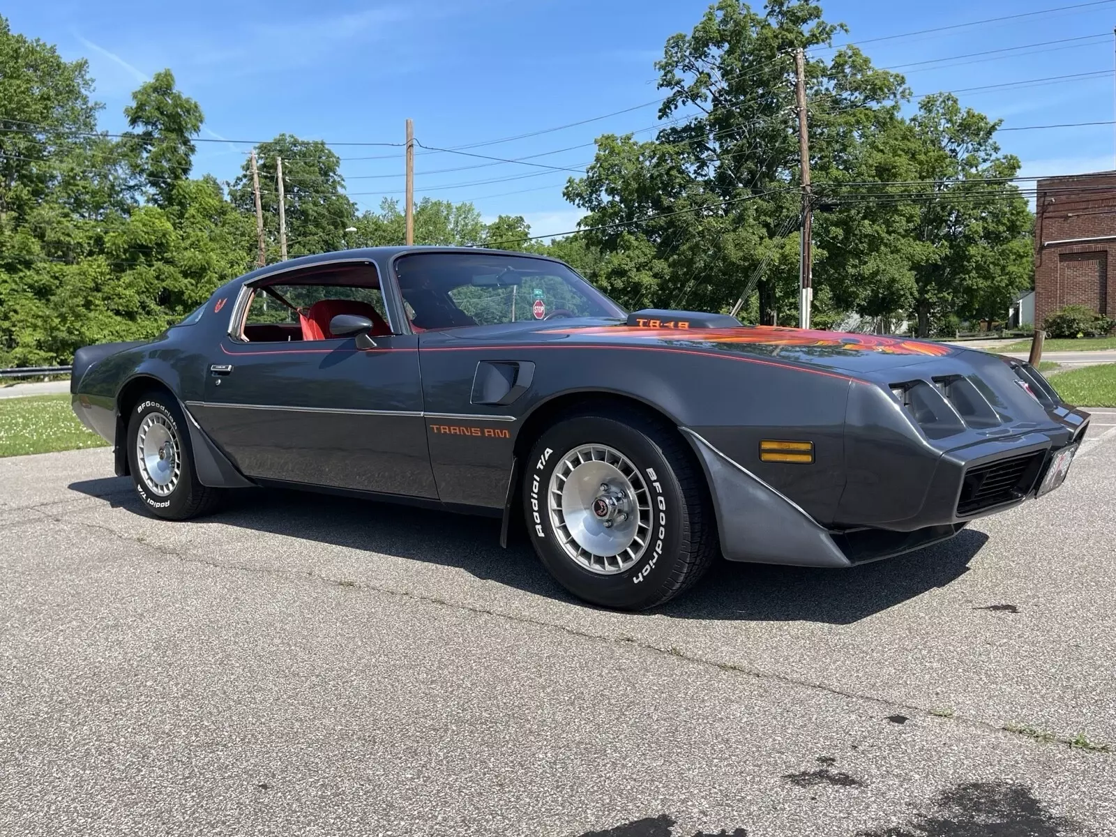 1981 Pontiac Firebird Coupe Grey TRANS AM 1981 Pontiac Firebird TRANS AM